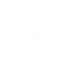The Wall Street Journal
